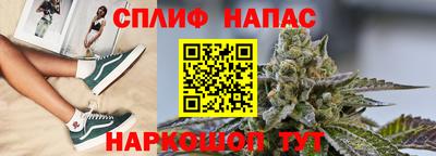 стаф Славгород
