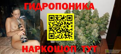 соль курить ск Сланцы