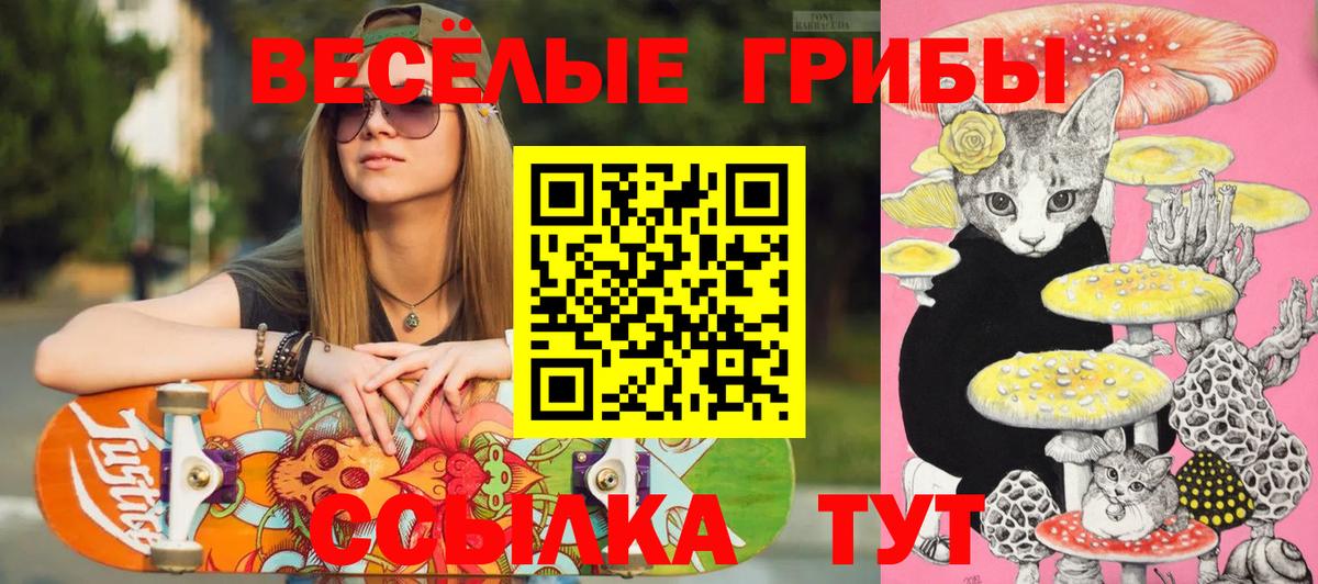 Галлюциногенные грибы прущие грибы Советский